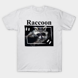 Little Raccoon T-Shirt